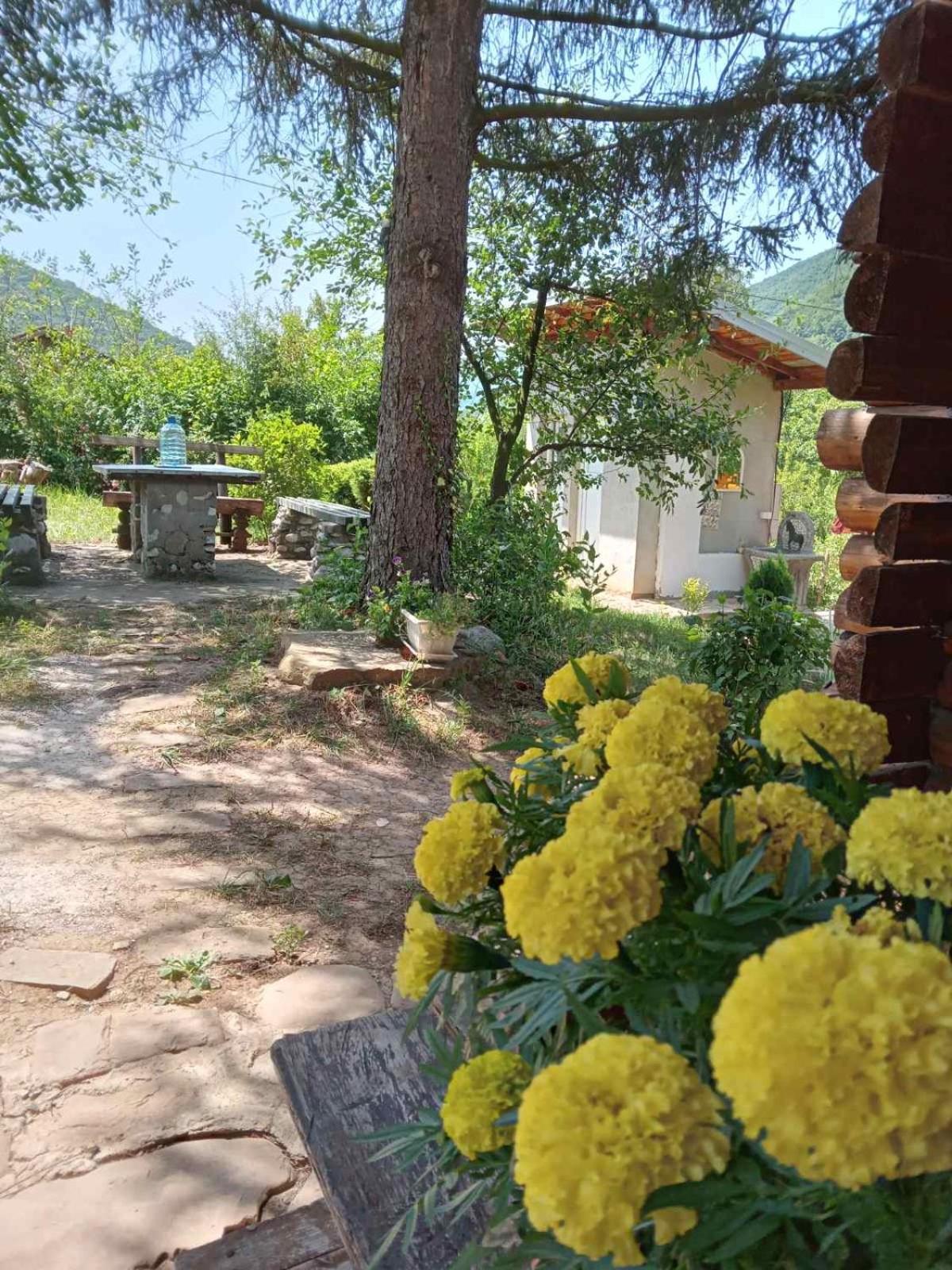 Piramida Mjeseca Villa วิโซโค ภายนอก รูปภาพ